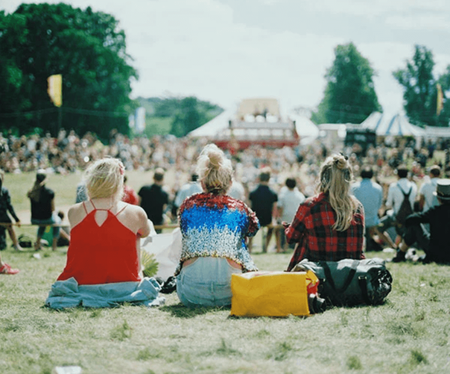 concert-goers at a festival